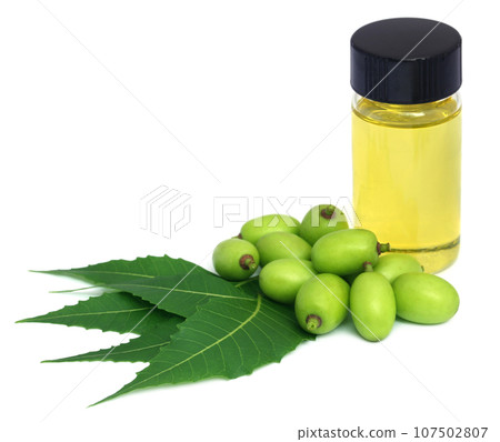 Medicinal neem extract with fruits and leaves 107502807