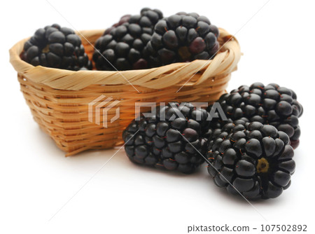 Fresh blackberries Fresh blackberries 107502892