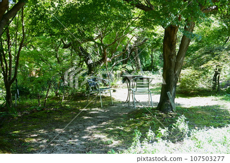 In the shade of rest In the shade of rest 107503277
