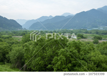 Bicycle path along the Seomjingang River 107503399