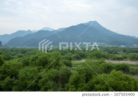 Bicycle path along the Seomjingang River 107503400