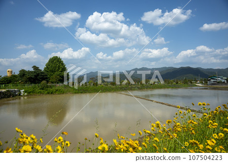 Bicycle path along the Seomjingang River 107504223
