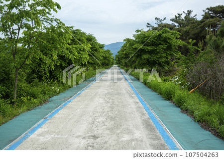 Bicycle path along the Seomjingang River 107504263