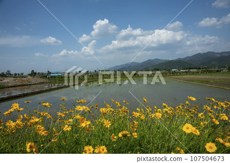 Bicycle path along the Seomjingang River 107504673