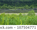 Bicycle path along the Seomjingang River 107504771