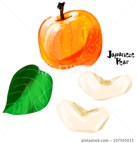 手繪梨子圖（刷水彩sumi-e風格） 107505015