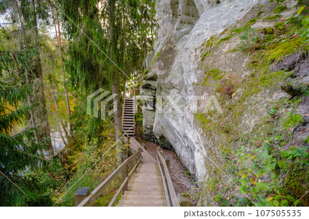 Sand cliff Sietiniezis on the bank of the Gauja river. Gauja National Park, Latvia 107505535
