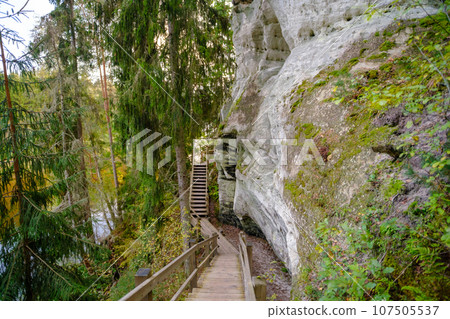 Sand cliff Sietiniezis on the bank of the Gauja river. Gauja National Park, Latvia 107505537
