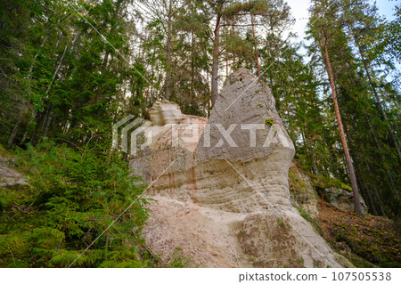 Sand cliff Sietiniezis on the bank of the Gauja river. Gauja National Park, Latvia 107505538