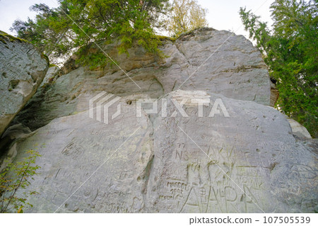 Sand cliff Sietiniezis on the bank of the Gauja river. Gauja National Park, Latvia 107505539