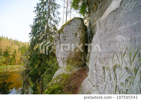 Sand cliff Sietiniezis on the bank of the Gauja river. Gauja National Park, Latvia 107505541