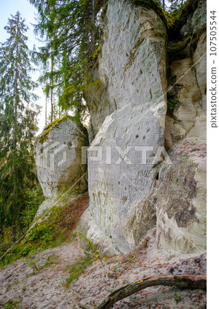 Sand cliff Sietiniezis on the bank of the Gauja river. Gauja National Park, Latvia Sand cliff Sietiniezis on the bank of the Gauja river. Gauja National Park, Latvia 107505544