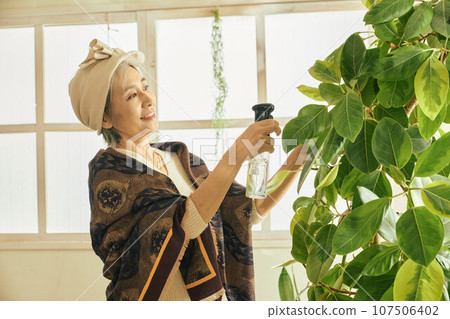 給室內植物澆水的老婦人 給室內植物澆水的老婦人 107506402