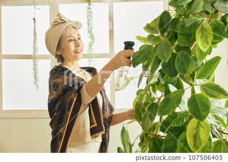 給室內植物澆水的老婦人 給室內植物澆水的老婦人 107506403