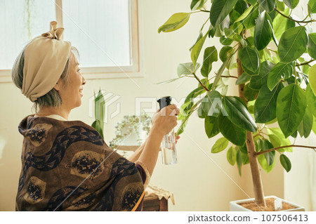 Senior woman giving water to houseplants Senior woman giving water to houseplants 107506413