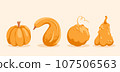 Vector Editable Set of Four Colourful Pumpkins 107506563