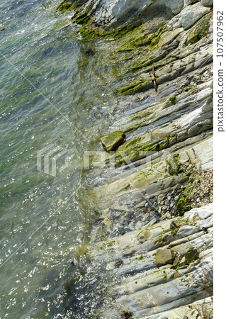 Black sea coast. bald mountain. Beautiful blue sea in Novorossiysk 107507962