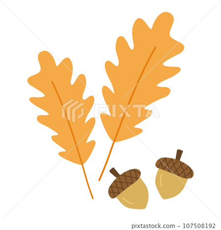 Oak leaves and acorns, autumn design elements, doodle style vector 107508192