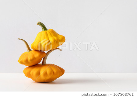 Tower of bush pumpkins on gray background for Thanksgiving or Halloween. Stack of vegetables set. Orange pumpkins composition. Halloween, design, autumn. Nature concept Tower of bush pumpkins on gray background for Thanksgiving or Halloween. Stack of vegetables set. Orange pumpkins composition. Halloween, design, autumn. Nature concept 107508761