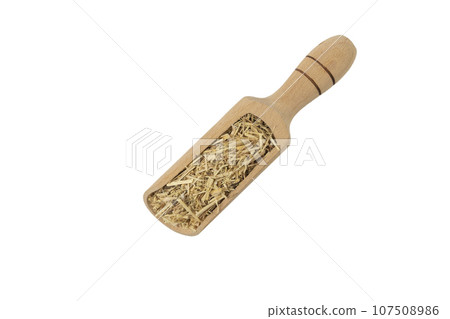 siberian ginseng in latin Eleutherococcus senticosus in wooden scoop isolated on white background. Medicinal herb. 107508986