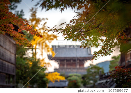 Autumn in Kyoto, autumn leaves at Seiryoji Temple, bright red autumn leaves seen with the precincts and Niomon gate in the background 107509677