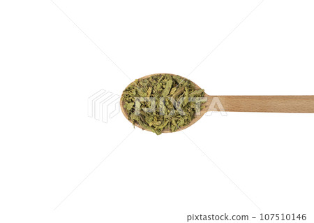 Dried leaves o Lemon verbena in latin Aloysia citrodora on wooden spoon isolated on white background. Medicinal. herb. Dried leaves o Lemon verbena in latin Aloysia citrodora on wooden spoon isolated on white background. Medicinal. herb. 107510146