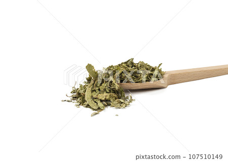 Dried leaves o Lemon verbena in latin Aloysia citrodora on wooden spoon isolated on white background. Medicinal. herb. Dried leaves o Lemon verbena in latin Aloysia citrodora on wooden spoon isolated on white background. Medicinal. herb. 107510149