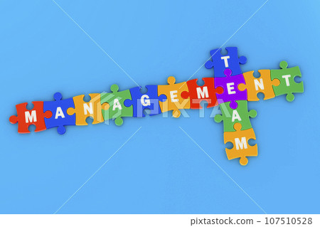 Management and team, business crossword, 3D rendering 107510528