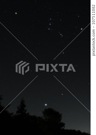 北斗市長坂町東南部的天空中,樹上的星星閃閃發光。天狼星和獵戶座 北斗市長坂町東南部的天空中,樹上的星星閃閃發光。天狼星和獵戶座 107511082