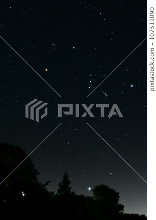 北斗市長坂町東南部的天空中，樹上的星星閃閃發光。天狼星和獵戶座 107511090