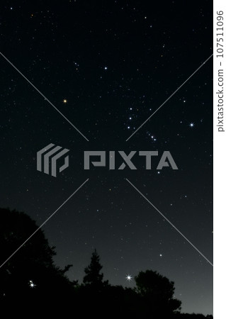 Stars on the trees shine in the southeastern sky of Nagasaka-cho, Hokuto. Sirius and Orion 107511096