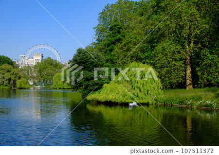 Beautiful summer wheather in the park with pond and London eye in the background. St Jame's Park, London. 107511372