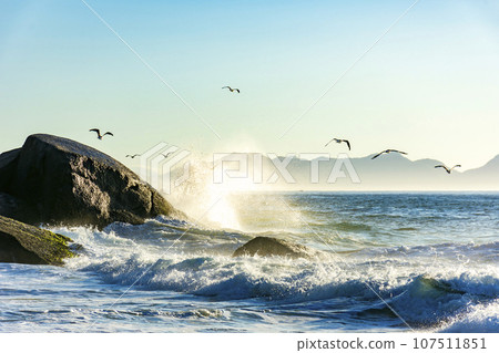 Seagulls over the sea waves at Devil Beach Seagulls over the sea waves at Devil Beach 107511851