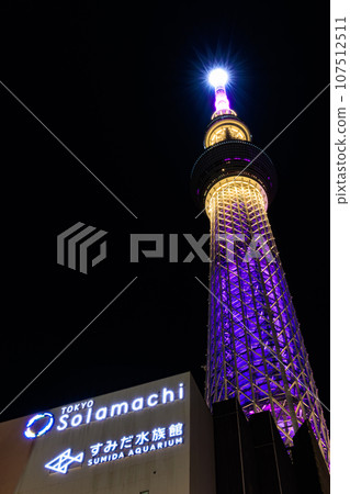 東京都墨田區東京晴空塔（夜景） 107512511
