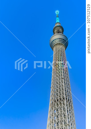 Tokyo, Sumida Ward, Tokyo Skytree (evening) Tokyo, Sumida Ward, Tokyo Skytree (evening) 107512529
