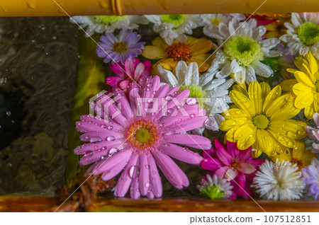 Wagokoro 待客之花 chozubachi Wagokoro 待客之花 chozubachi 107512851