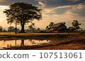 Rural Asia  107513061