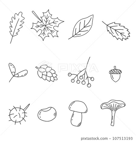 Set of autumn elements, leaves, berry, mushrooms, doodle style flat vector outline for coloring book Set of autumn elements, leaves, berry, mushrooms, doodle style flat vector outline for coloring book 107513193
