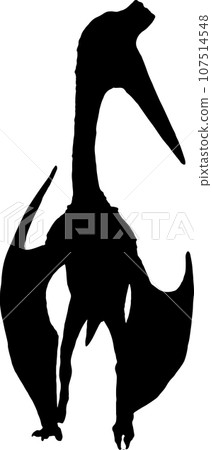 Pterosaur black silhouette isolated background 107514548