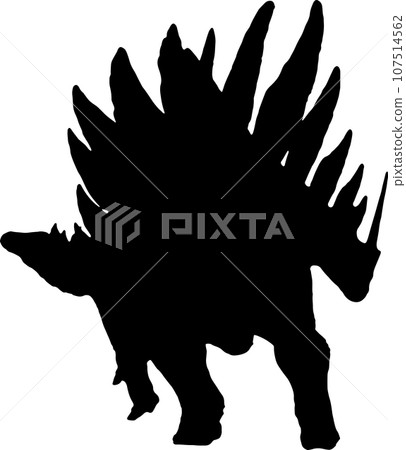 stegosaurus black silhouette isolated background stegosaurus black silhouette isolated background 107514562