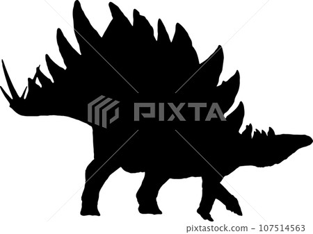 stegosaurus black silhouette isolated background stegosaurus black silhouette isolated background 107514563
