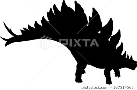 stegosaurus  black silhouette isolated background 107514565