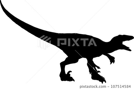 Velociraptor black silhouette isolated background Velociraptor black silhouette isolated background 107514584