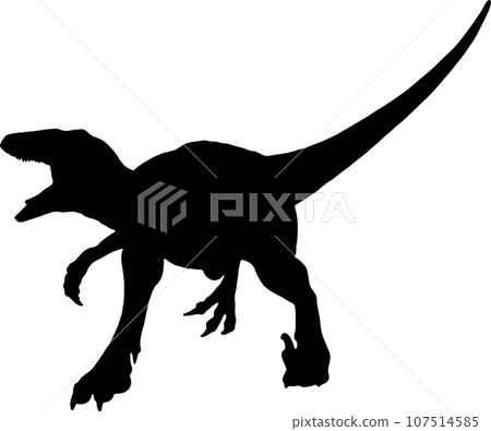 Velociraptor black silhouette isolated background Velociraptor black silhouette isolated background 107514585