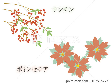 南方的天空和一品紅 南方的天空和一品紅 107515274