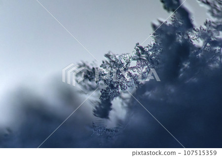 Shining Snowflake 107515359