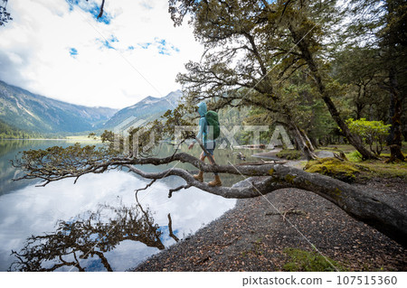 Hiking woman walking on a one plank bridge in high altitude lakeside 107515360