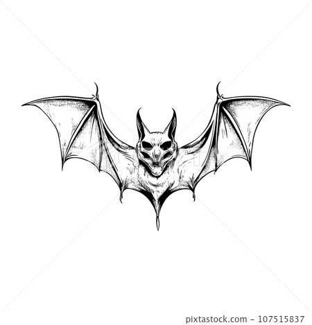 Halloween scary bat sketch close-up 107515837