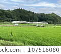 火車在農村運行 107516080