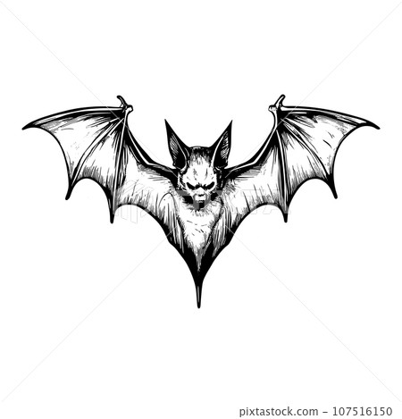Halloween scary bat sketch close-up 107516150